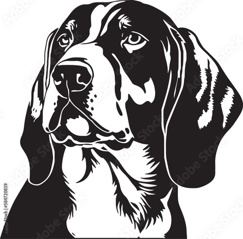 COONHOUND dog face isolated on a white background, SVG, Vector, Illustration.	