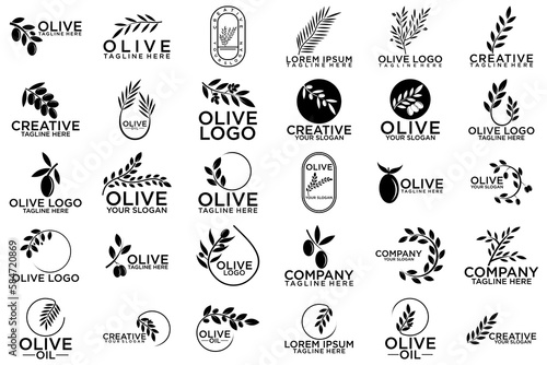 olive branch logo design  black logo and white background