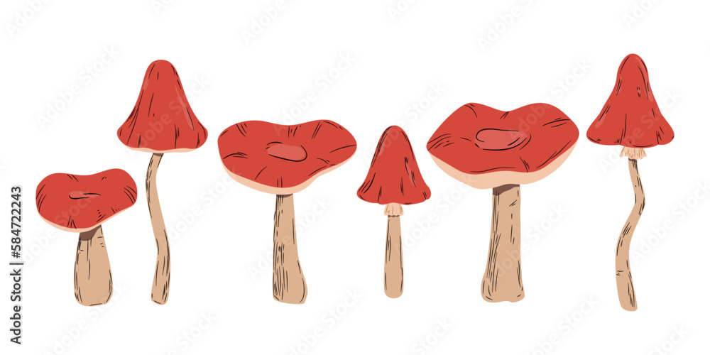 Leśne grzyby z czerwonymi kapeluszami. Sześć różnych grzybków. Muchomor, amanita muscaria. Botaniczna ilustracja wektorowa. - obrazy, fototapety, plakaty 