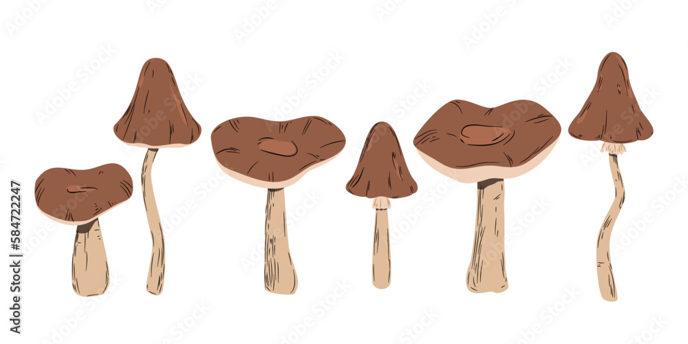 Leśne grzyby z brązowymi kapeluszami. Sześć różnych grzybków. Botaniczna ilustracja wektorowa. - obrazy, fototapety, plakaty 