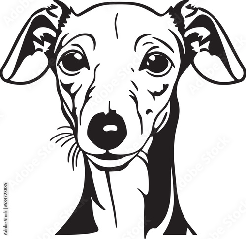 Italian greyhound dog face isolated on a white background, SVG, Vector, Illustration.	