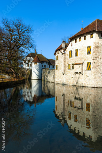 Hallwyl Castle in the municipality of Seengen, canton Aargau, is one of the most important moated castles in Switzerland. © Taljat