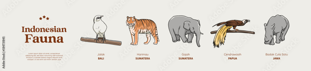 Isolated Hand drawn Indonesian animals illustration