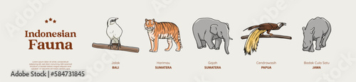 Isolated Hand drawn Indonesian animals illustration