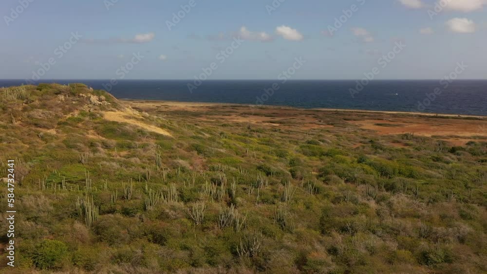 FPV aerial view over an island in the Caribbean FPV aerial view over an island in the Caribbean