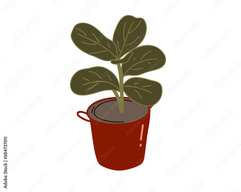 Houseplant isolated on white background. Vector illustration Houseplant isolated on white background. Vector illustration