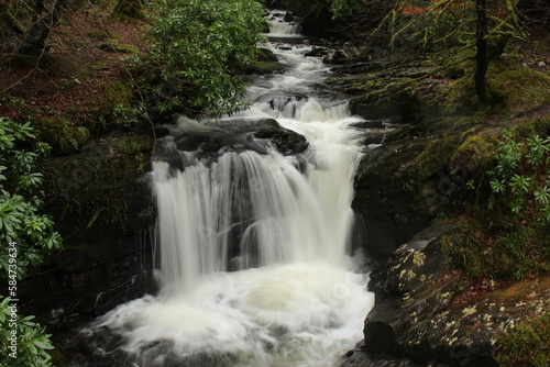 Fototapeta Naklejka Na Ścianę i Meble -  Small waterfall flowing through stony river in a temperate forest in winter (Torc Mountain, County Kerry, Republic of Ireland)