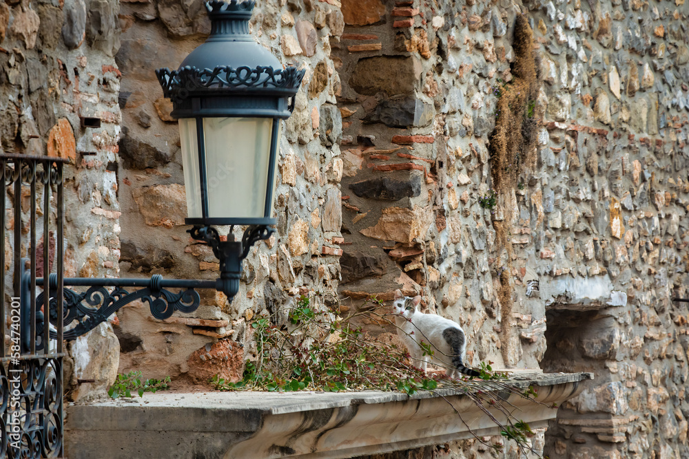 Oropesa del Mar, Spain: Abandoned Building Balcony Now Home to Feline Resident Oropesa del Mar, Spain: Abandoned Building Balcony Now Home to Feline Resident