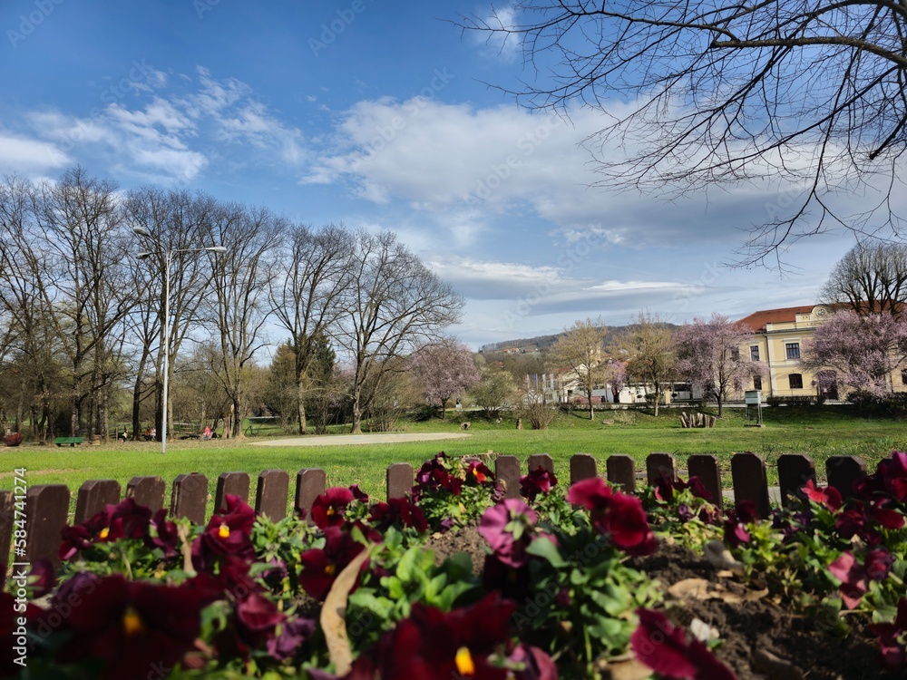 Obraz premium spring in the park