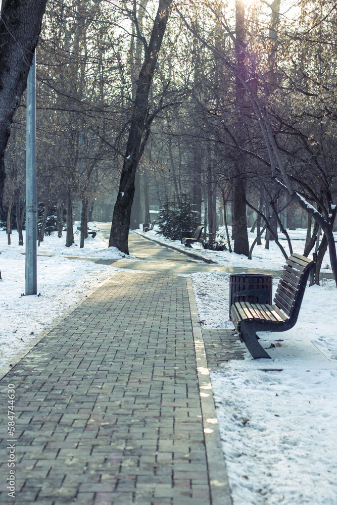 vertical photo of a landscape from a deserted park. park path with a bench on the background of trees