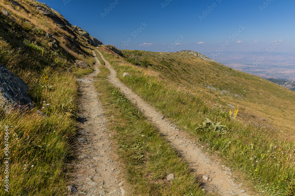 Path in Pelister national park, North Macedonia