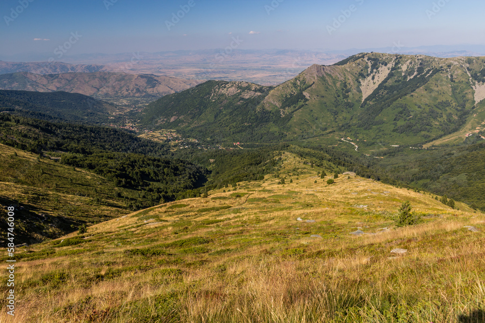 Naklejka premium Valley of Sapunchica river in Pelister national park, North Macedonia