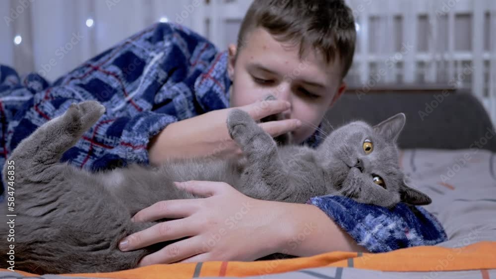 Smiling Boy Playing with a Fluffy Grey Cat while Lying on Bed in the Bedroom. A child in pajamas stroking and hugging the paws of his beloved pet. Love, care, affection, and friendship with pets. Smiling Boy Playing with a Fluffy Grey Cat while Lying on Bed in the Bedroom. A child in pajamas stroking and hugging the paws of his beloved pet. Love, care, affection, and friendship with pets.