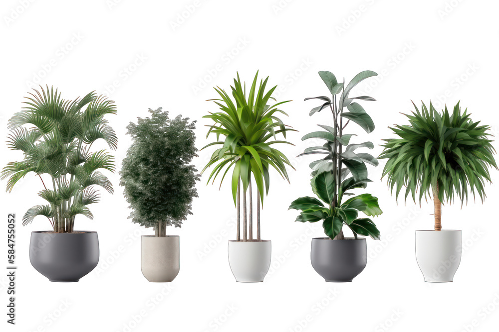 A set of house plants in a pot isolated on white background transparent png. Generative AI