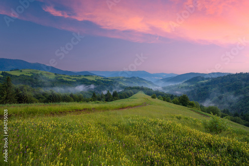 Sunset summer scenery in the Carpathian mountains, Ukraine.The high grass hill with wildflowers under the vibrant evening sky.