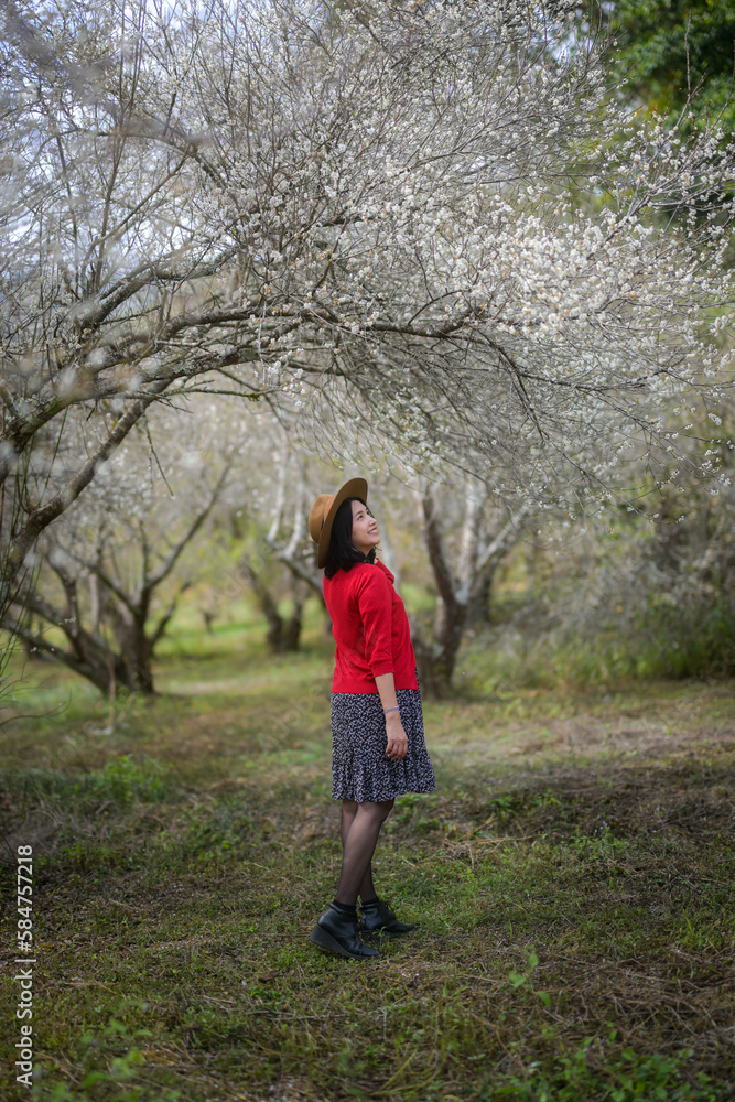 Asian girl admiring nature In the plum garden where the plum blossoms are in full bloom. Asian girl admiring nature In the plum garden where the plum blossoms are in full bloom.