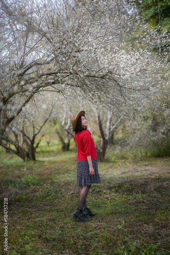 Asian girl admiring nature In the plum garden where the plum blossoms are in full bloom.