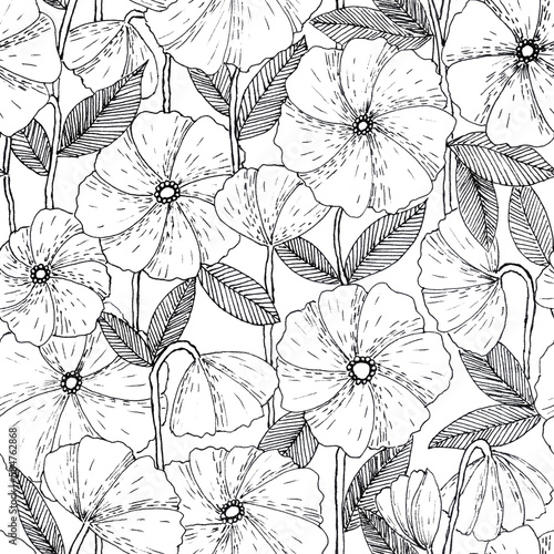 Botanical hand drawn seamless pattern made of ink pen poppy flowers with hatches. Simple minimalistic line art floral background in vintage style on white.