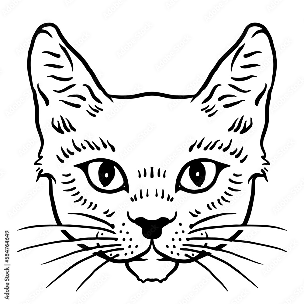 Fototapeta premium Vector Illustration Portrait of free colors