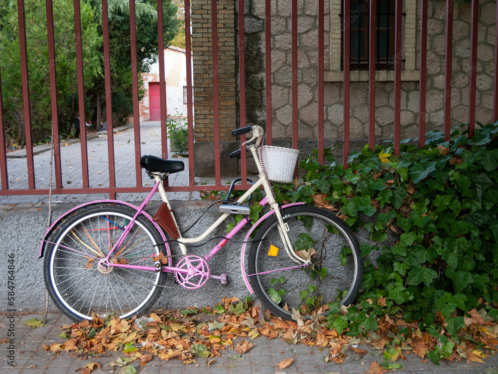 Una bicicleta rosa aparcada en una valla junto a una enredadera de ambiente otoñal.