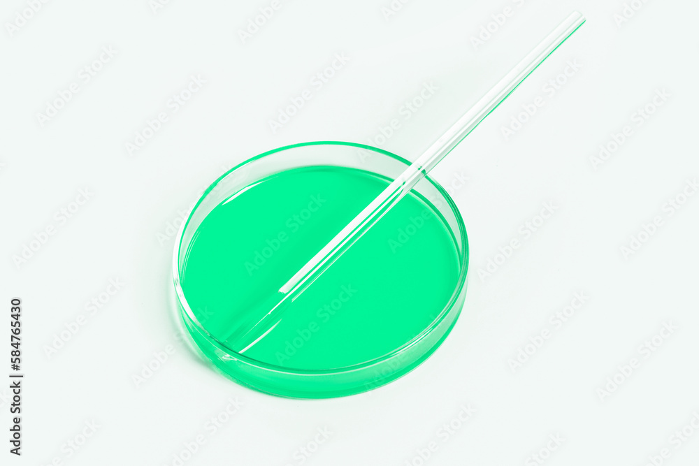 Petri dish for laboratory with green liquid. Pipette, glass tube. On a white, light background. Petri dish for laboratory with green liquid. Pipette, glass tube. On a white, light background.