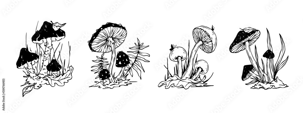 Linear sketch of toadstool mushrooms with forest plants. Vector graphics.	