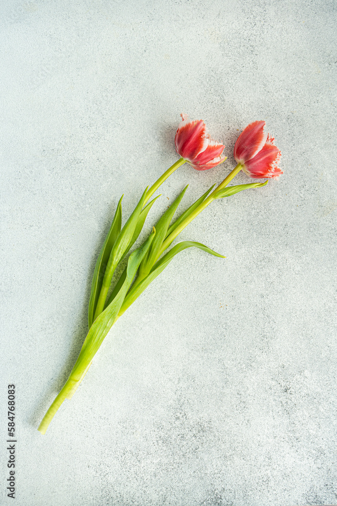 Blossom tulip flower with green leaves on table Blossom tulip flower with green leaves on table