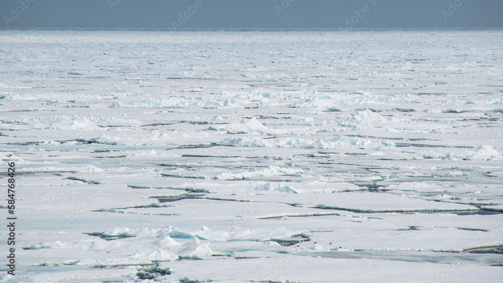 Arctic Polar Circle, between Greenland-Svalbard-Norway Arctic Polar Circle, between Greenland-Svalbard-Norway
