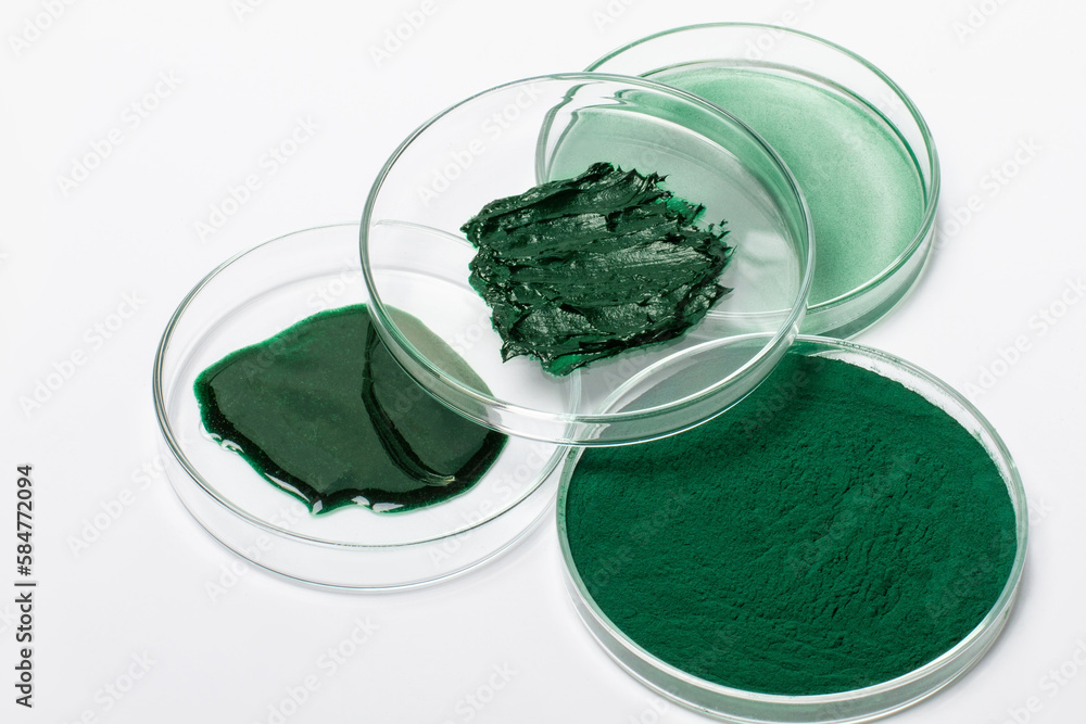 set of spirulina products in petri dishes. Spirulina powder, mask, cream, solution. set of spirulina products in petri dishes. Spirulina powder, mask, cream, solution.
