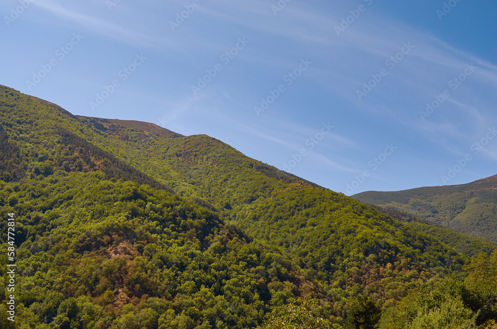 Landscape of mountains full of vegetation with blue skies