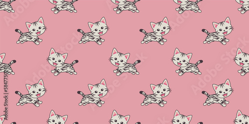 Vector cartoon character american shorthair cat seamless pattern background for design.