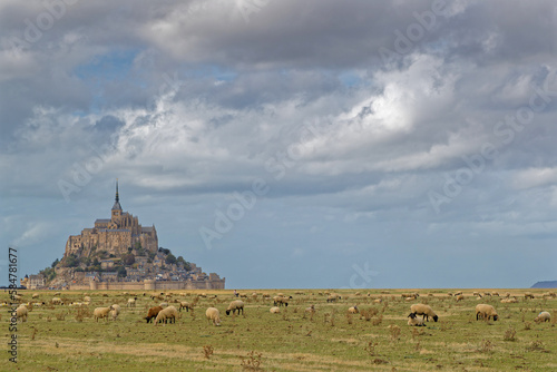 MONT SAINT-MICHEL, FRANCE, September 28, 2019 : The Mont Saint-Michel Abbey and herd of sheeps in surrounding meadows