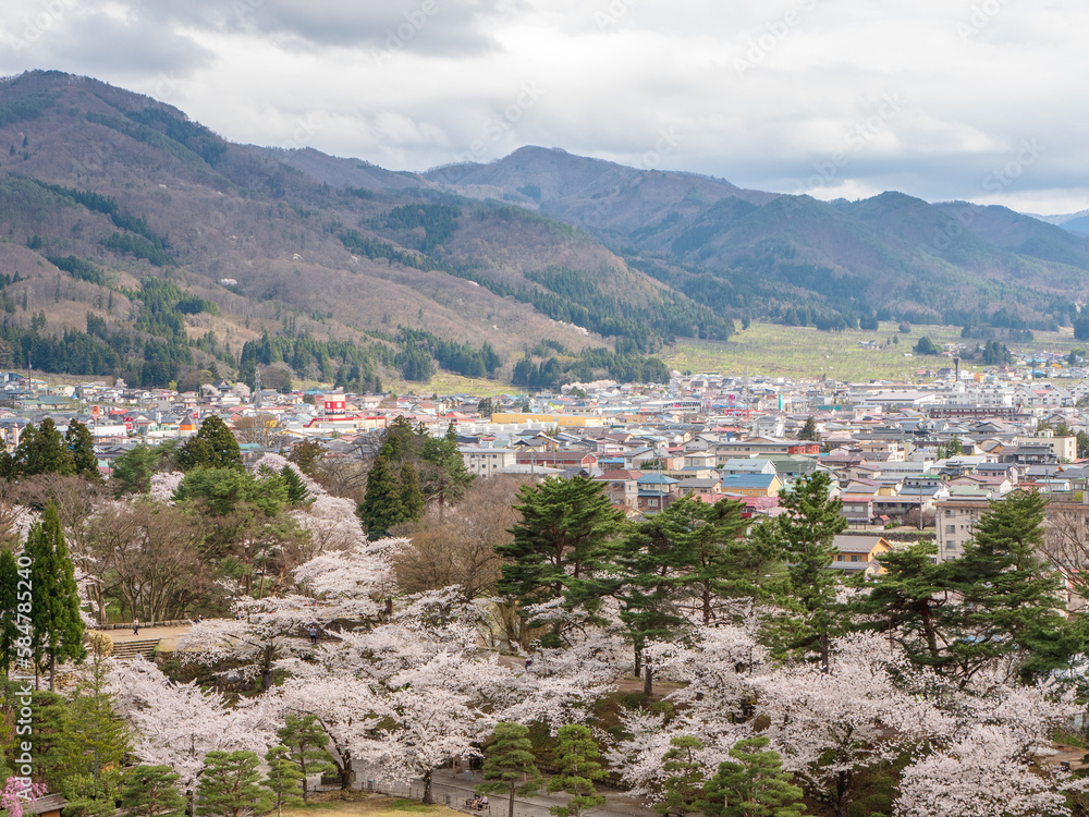 Cherry-blossom trees (Sakura) and many kinds of flowers and Fukushima cityscape, in Fukushima, Tohoku area, Japan