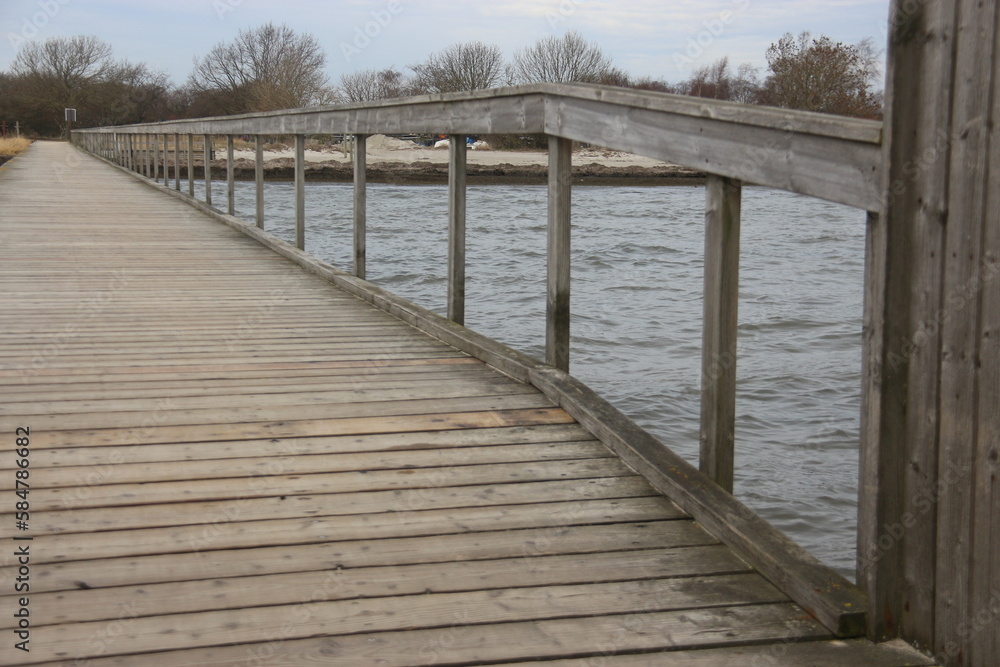 Naklejka premium Dragor 