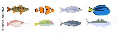 Collection of vector Cartoon fishes. Big set of fish isolated on white background. Flat Vector illustration photo