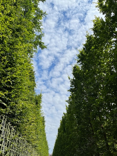 Obraz na płótnie Haie et ciel w salonie