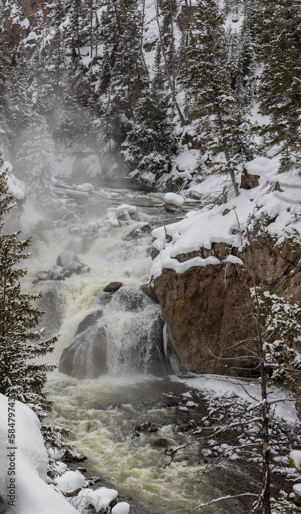 Snow Covered Landscape on the Firehole River in Yellowstone National Park in Winter - obrazy, fototapety, plakaty 