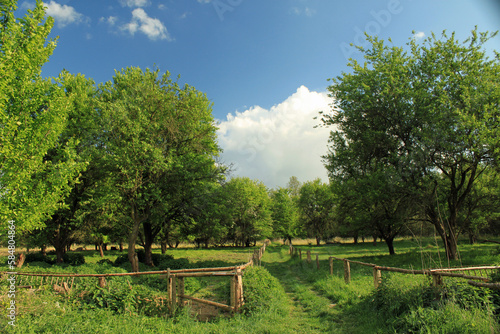 trees, sky, clouds, Schwerin, countryside