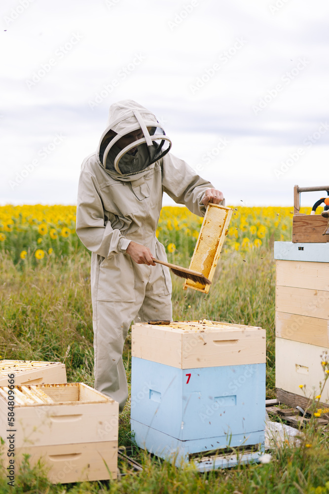 Beekeeper preparation honeycomb agriculture 