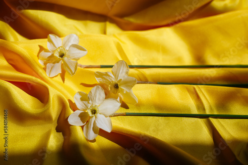 Three of daffodils on a bright yellow background. Beautiful curves of fabric and spring flowers on it. Light and shadow on backdrop. Top view with free space for text.