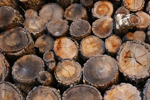 Background of stacked wooden logs