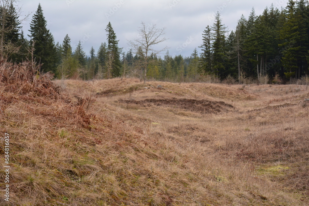 Mima Mounds Natural Area Preserve south of Olympia, Washington Mima Mounds Natural Area Preserve south of Olympia, Washington