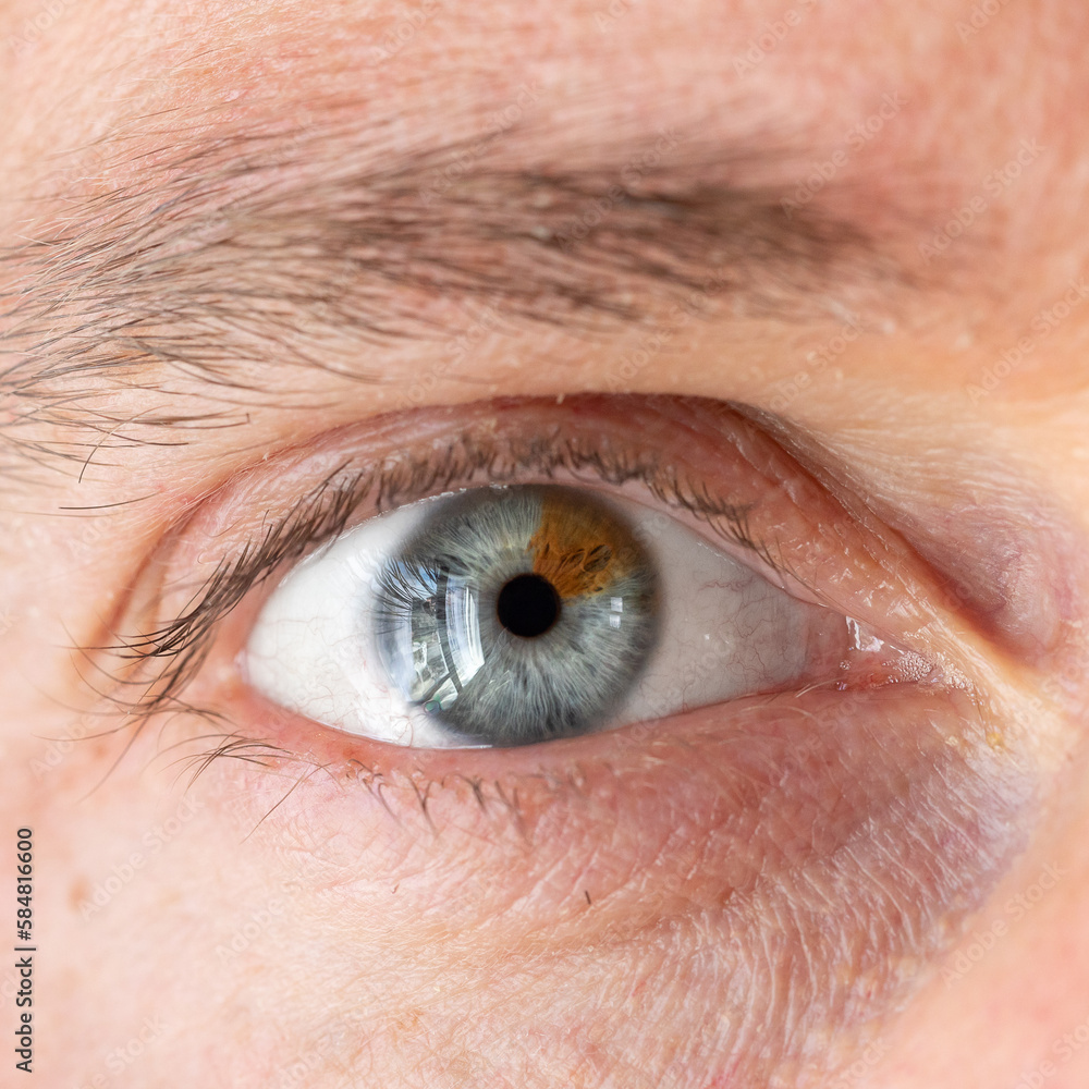 Obraz premium Macro of a male eye with heterochromia