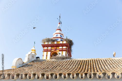 Storks on their nests at the bell tower of the Church of the Divino Salvador in Castilblanco de los Arroyos, province of Seville, Andalusia, Spain photo