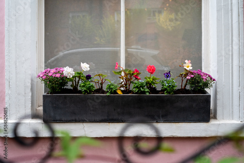 Window shelf with flower pot outdoor photo