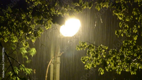 heavy rain shower at night against the background of light from a street lamp lamp. around the green leaves of the trees. beauty and fear in nature and weather