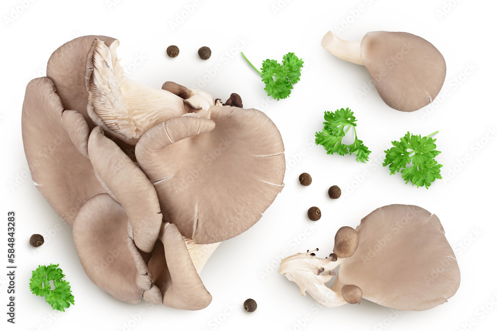 Fototapeta premium Oyster mushrooms isolated on white background with full depth of field. Top view. Flat lay