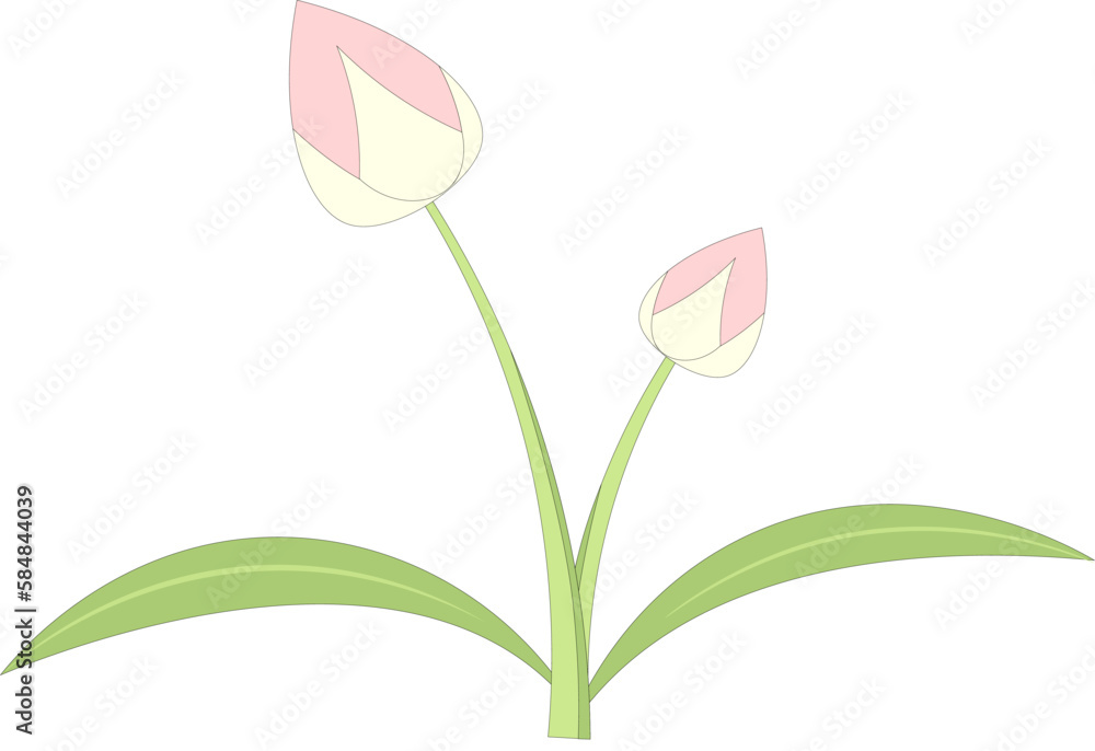 flower vector illustration
flower vector illustration