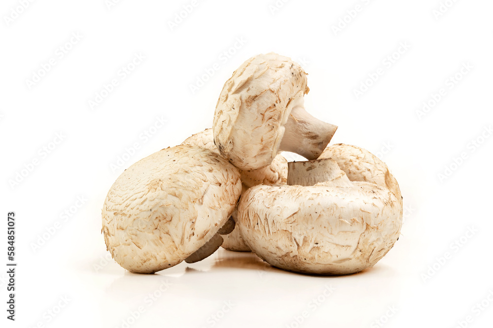 Champignon mushrooms isolated on white. Champignon mushrooms isolated on white.