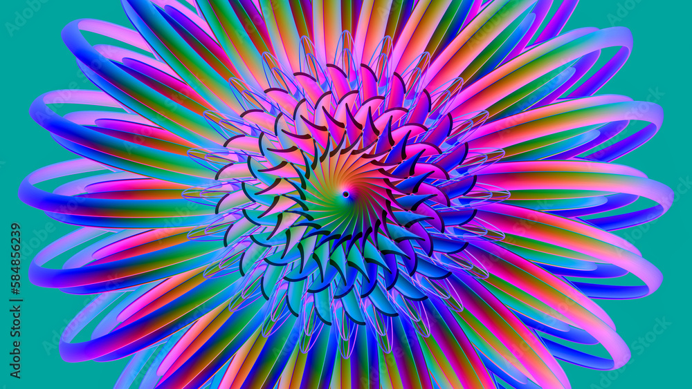 Rainbow color flower. Rainbow color flower.